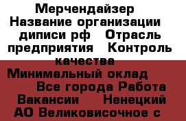 Мерчендайзер › Название организации ­ диписи.рф › Отрасль предприятия ­ Контроль качества › Минимальный оклад ­ 20 000 - Все города Работа » Вакансии   . Ненецкий АО,Великовисочное с.